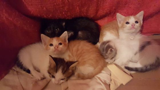 No photo description available.