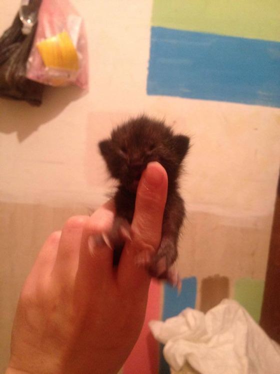 No photo description available.