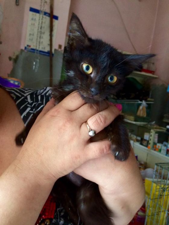 No photo description available.