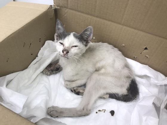 No photo description available.