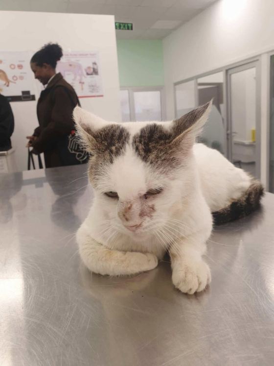 No photo description available.