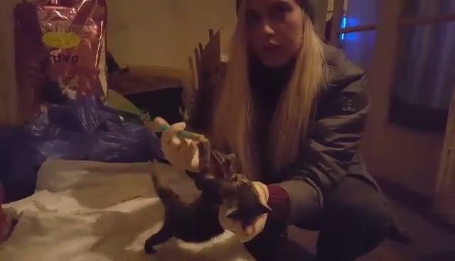ვიდეო